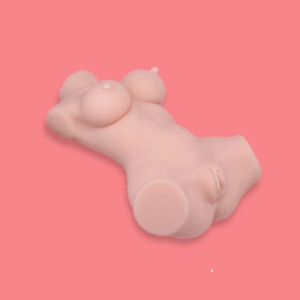 Modello Anatomico 1